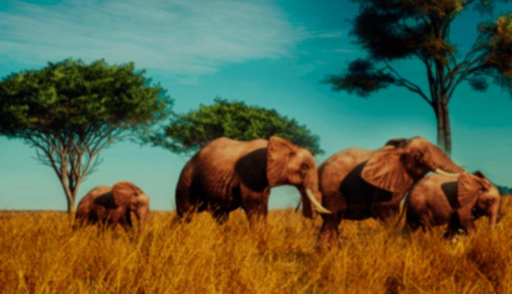 Game Background for African Luck by Retro Gaming