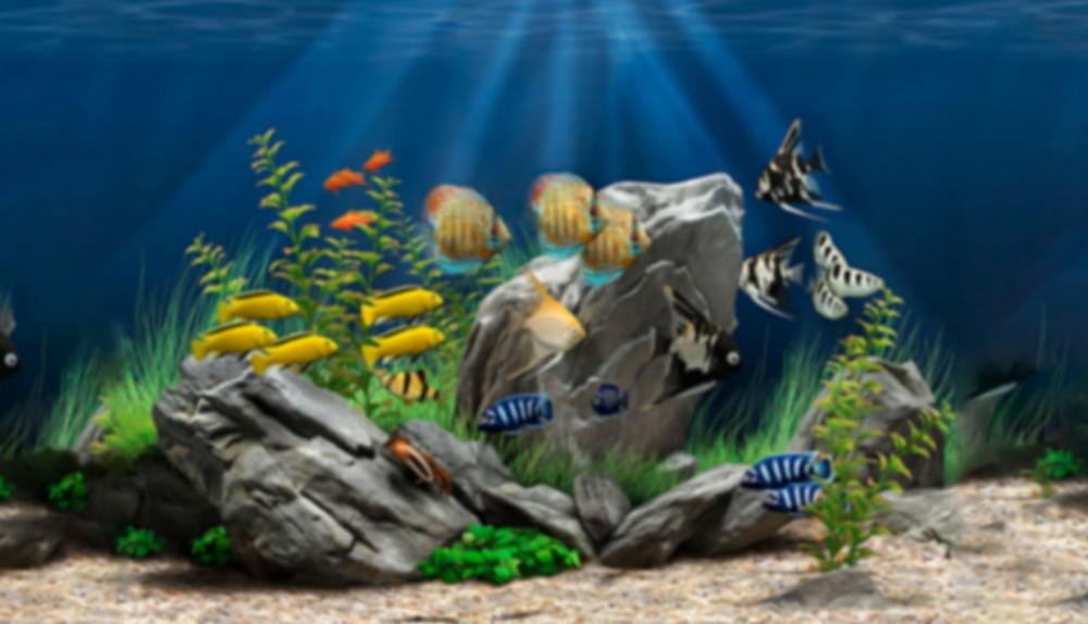 Game Background for Aquarium HD by WorldMatch