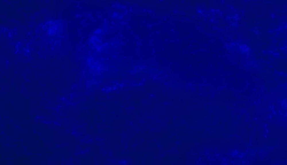 Game Background for Aztec Emerald by Amatic