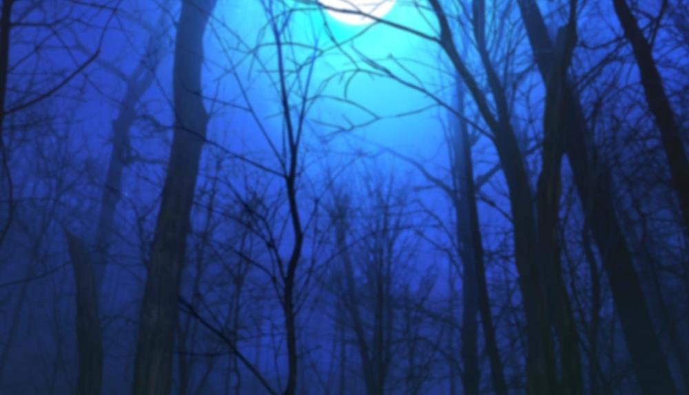 Game Background for Baba Yaga Tales by Spinomenal