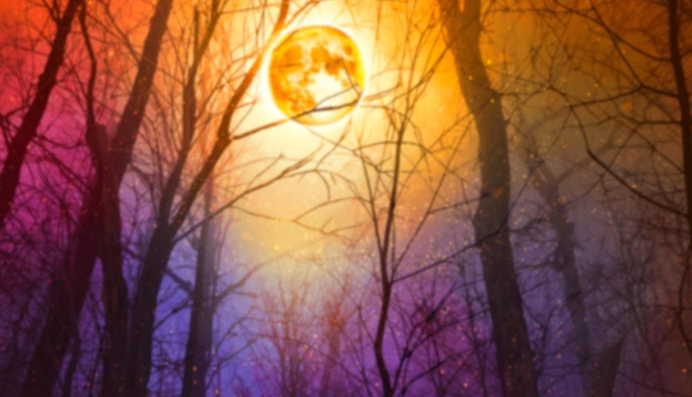 Game Background for Book Of Wolves - Full Moon by Spinomenal