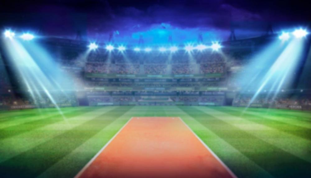 Game Background for Cricket Heroes by Endorphina