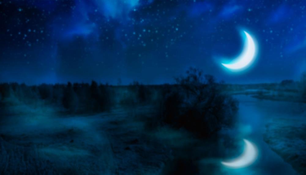 Game Background for Dangerous Beauty by High5