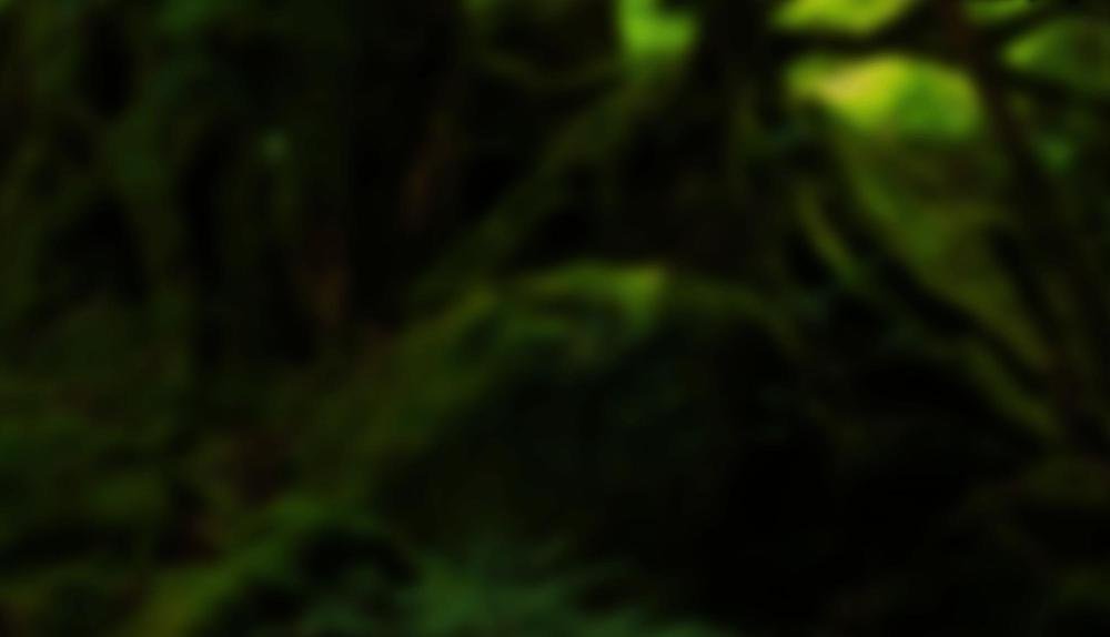 Game Background for Deep Jungle by Fazi