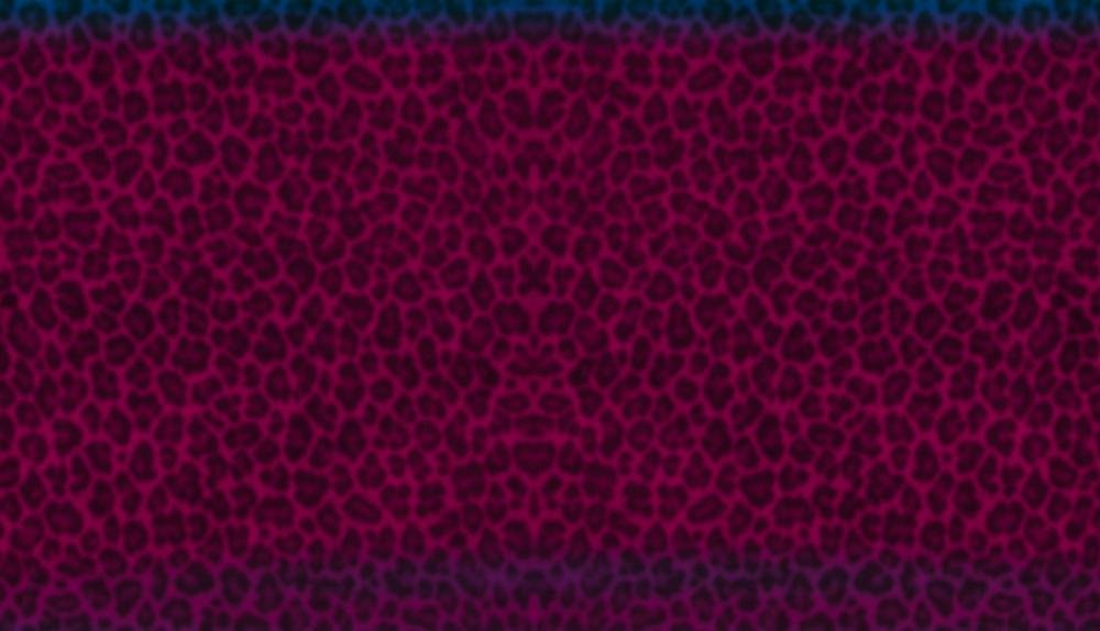 Game Background for Diamond Cats by Amatic