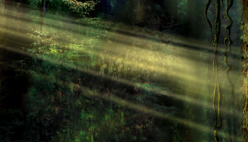 Game Background for Dino Dollars by High5