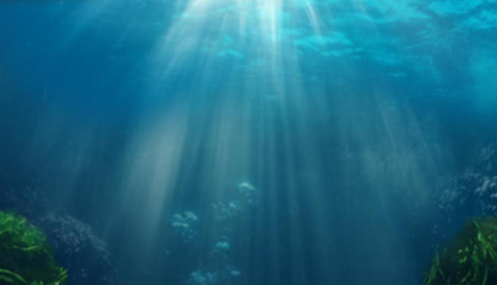 Game Background for Dolphins Shell by Champion