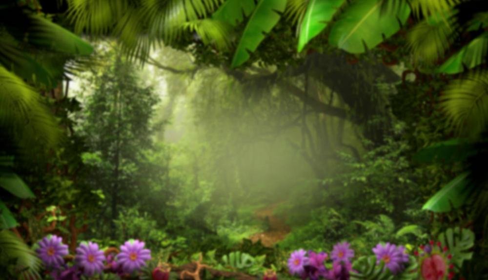 Game Background for Duplicats by Realistic Games