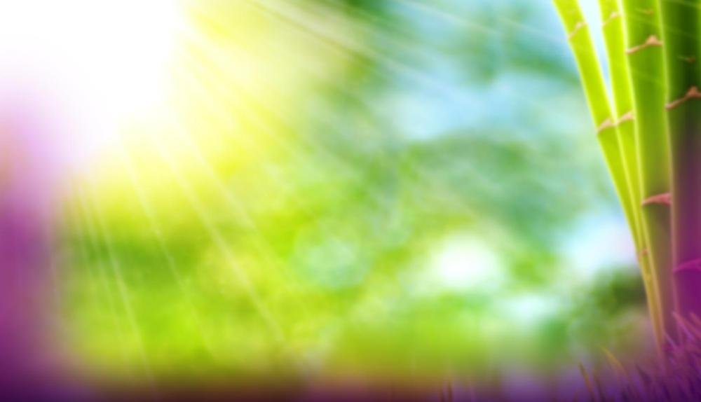 Game Background for Fortune Panda by Gameart