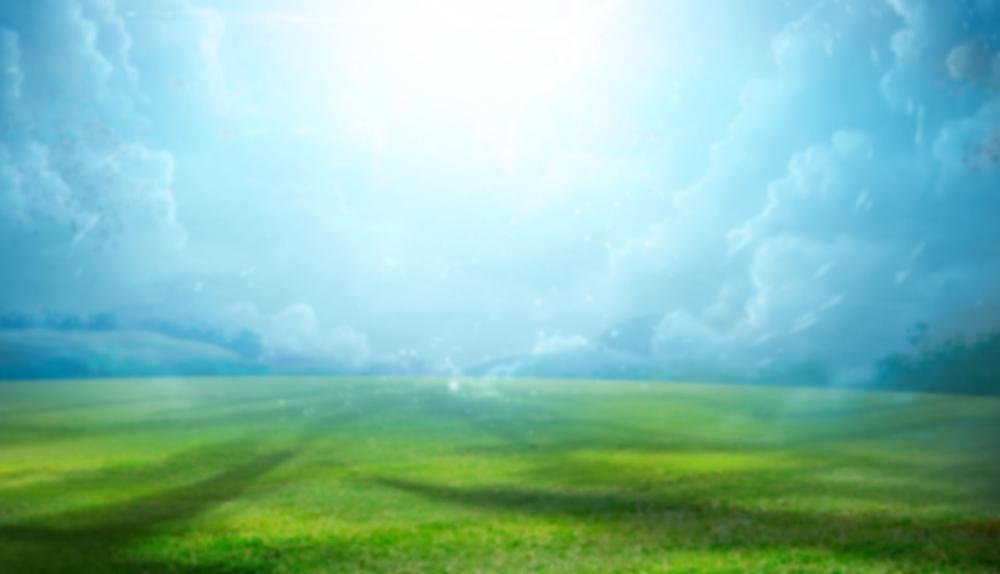 Game Background for Fruit Feast by CT Interactive