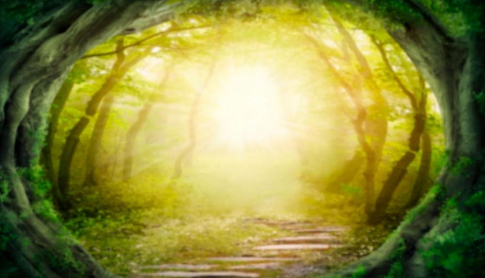 Game Background for Goblin's Gold by CT Interactive