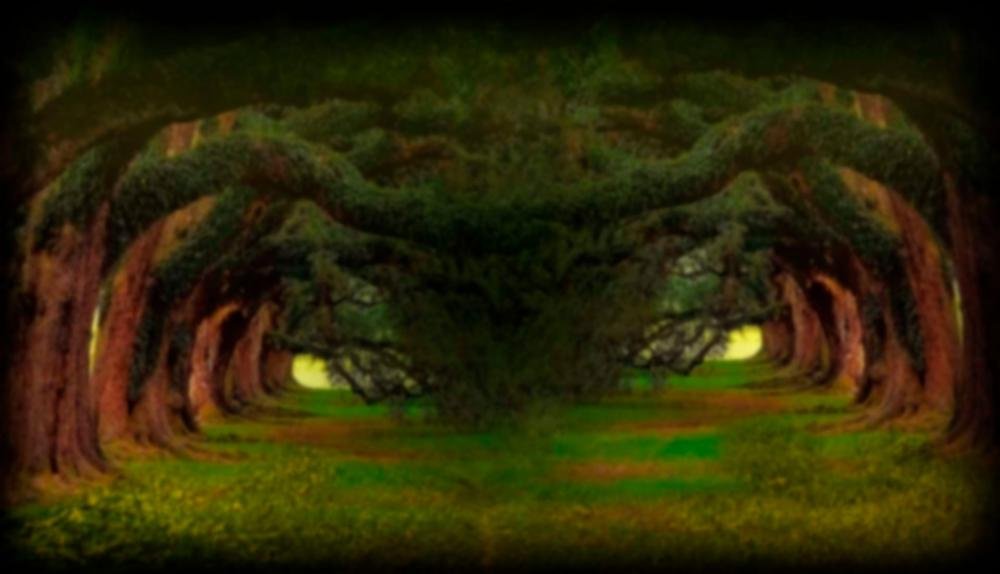 Game Background for Golden Acorn by CT Interactive