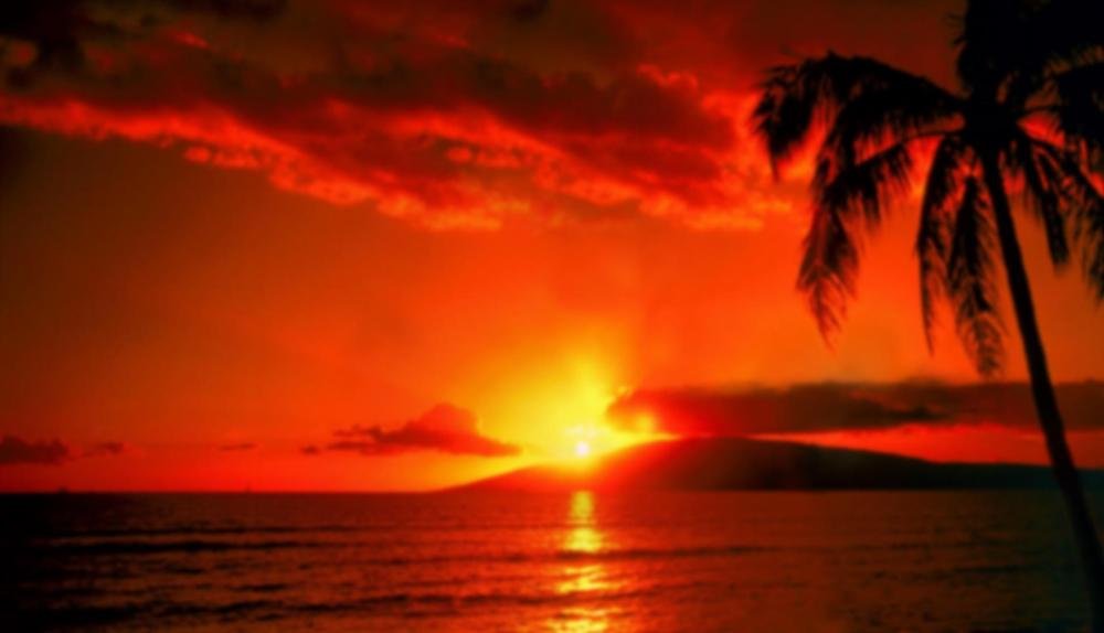 Game Background for Golden Girls by Booming games