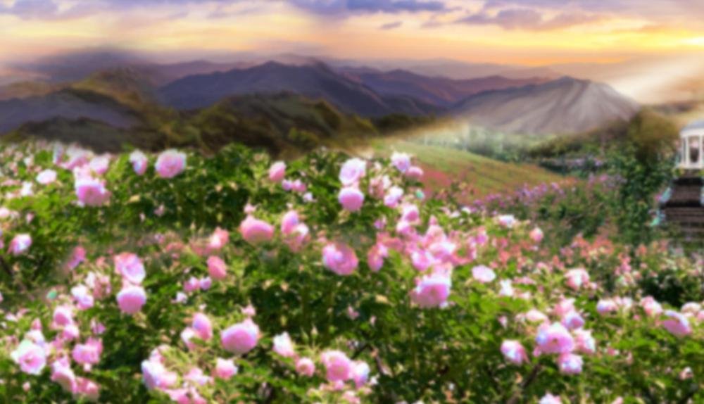 Game Background for Golden Profits by Booming games