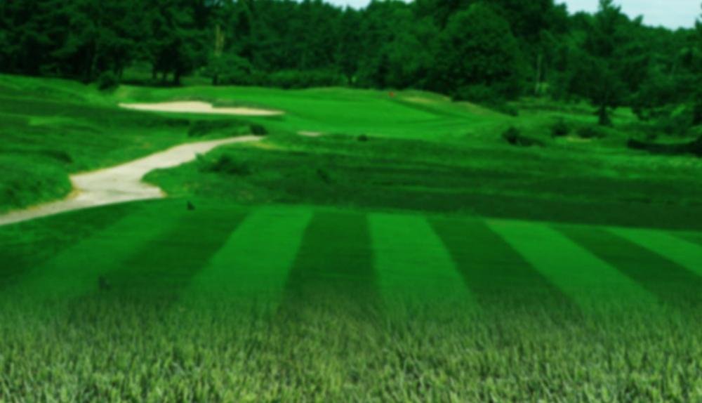 Game Background for Golf Champions by Spade gaming