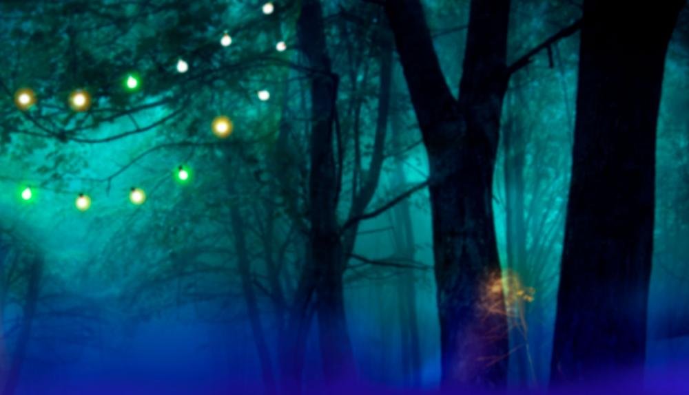 Game Background for Gypsy 3: Triple Tarot by High5