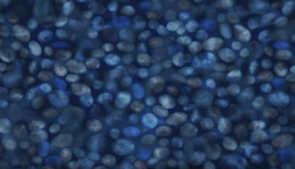 Game Background for Lucky Koi by Microgaming