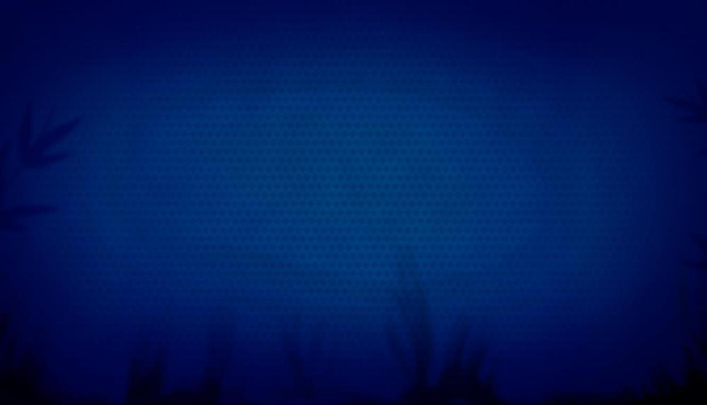 Game Background for Lucky Money by Platipus