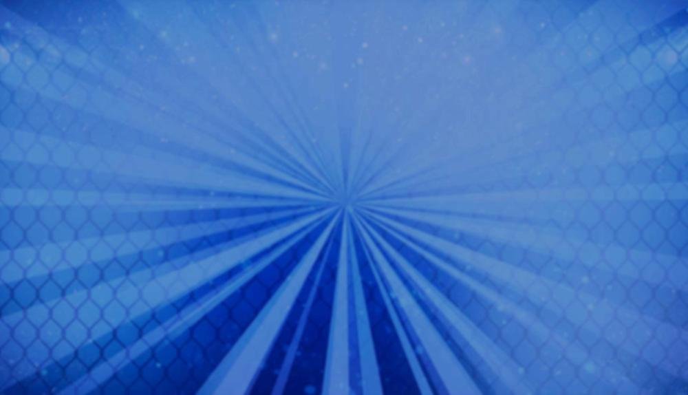 Game Background for MMA Legends by NetGame