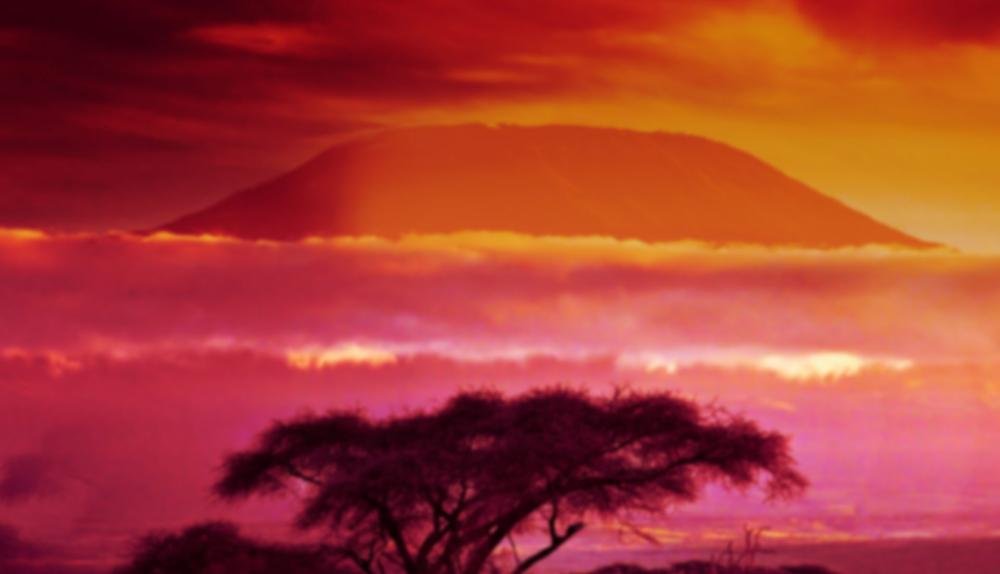 Game Background for Majestic Cats by High5