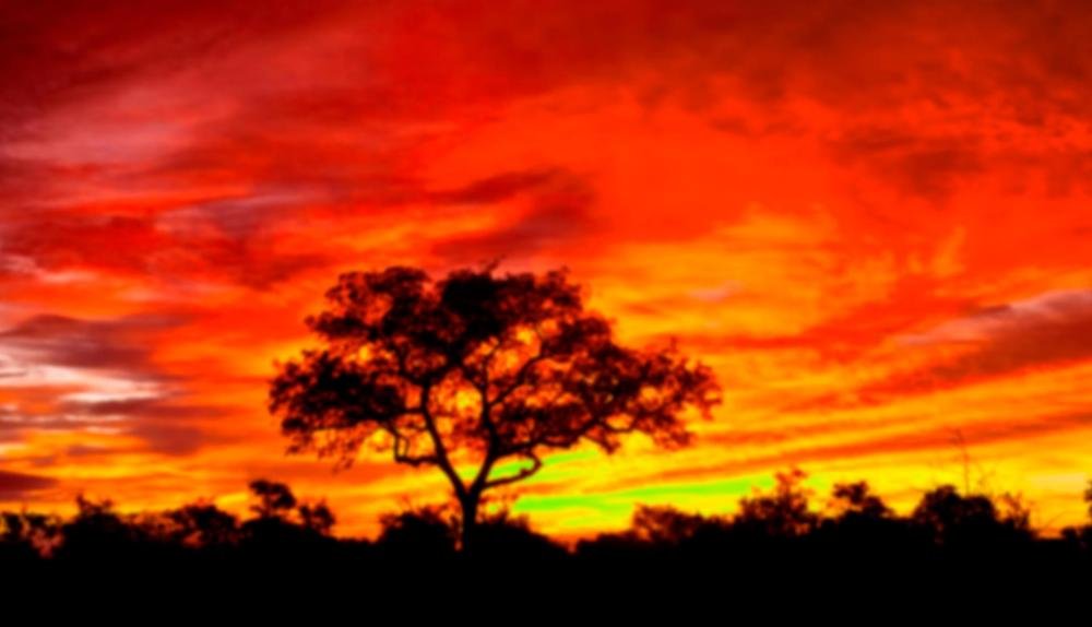 Game Background for Majestic MegaWays by iSoftBet