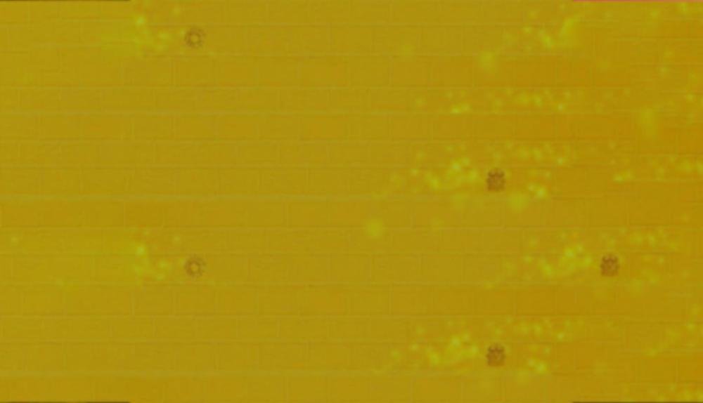 Game Background for Maya mystery by Belatra