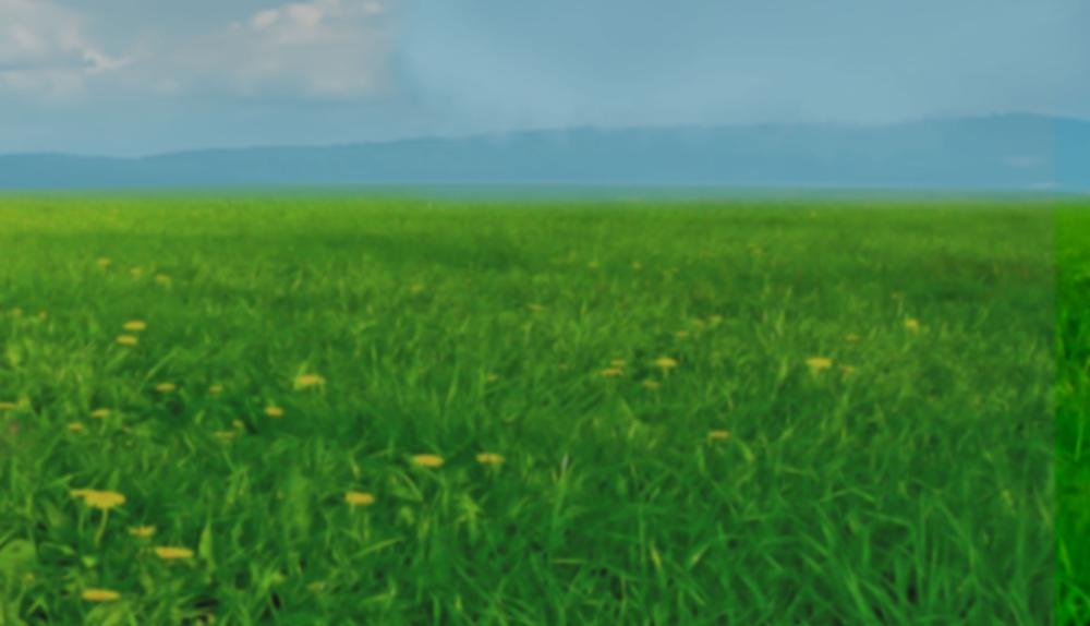 Game Background for Multiply Like Bunnies by High5