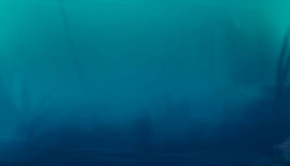 Game Background for Piece of Treasure by CT Interactive