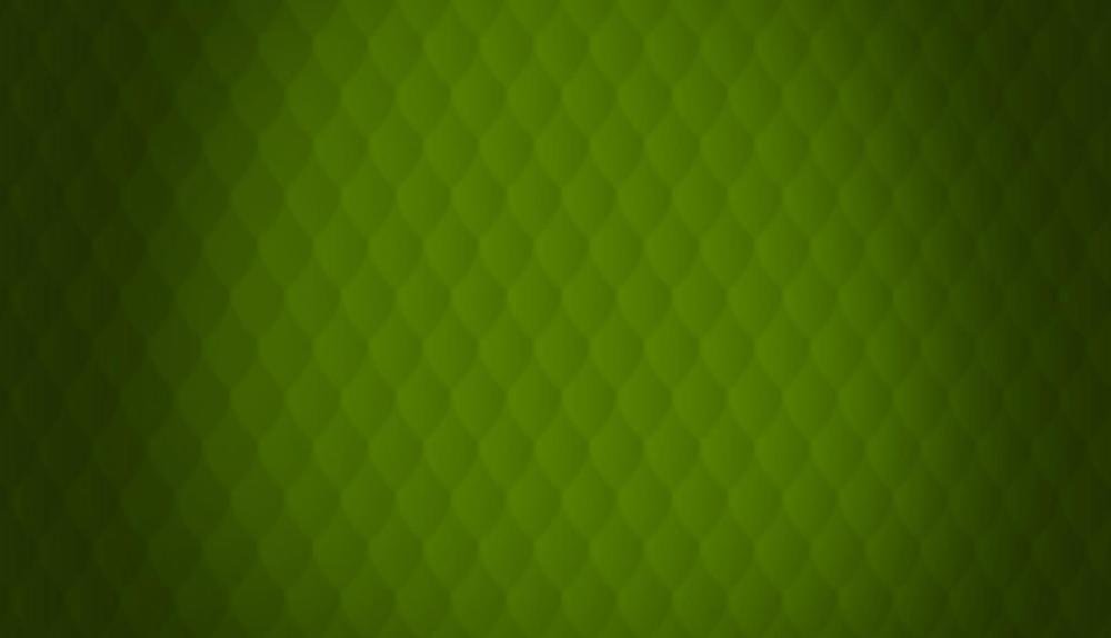 Game Background for Royal Xmass by Endorphina