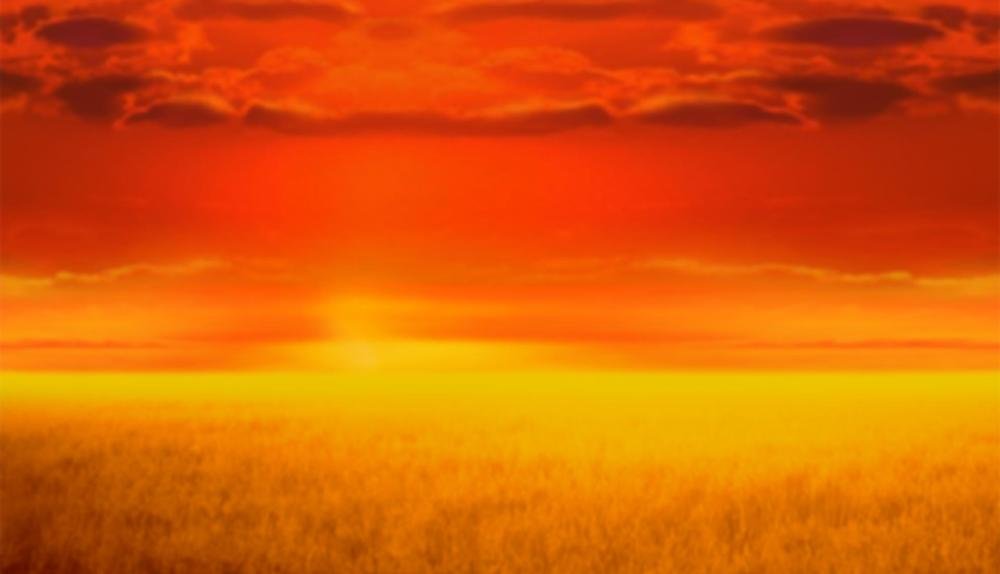 Game Background for Savanna Stampede by Blueprint Gaming