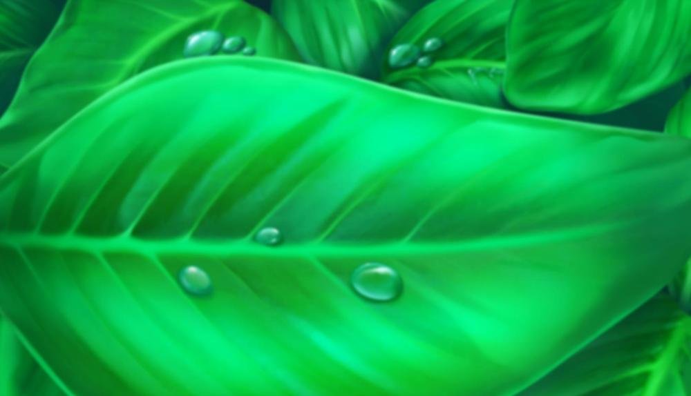 Game Background for Snail Race by Booming games