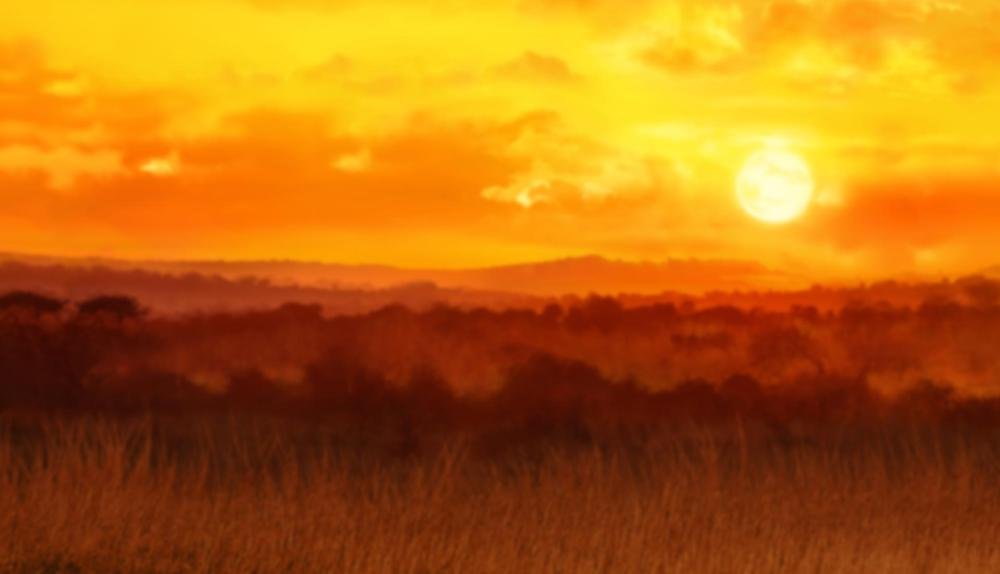 Game Background for Stampede by Eyecon