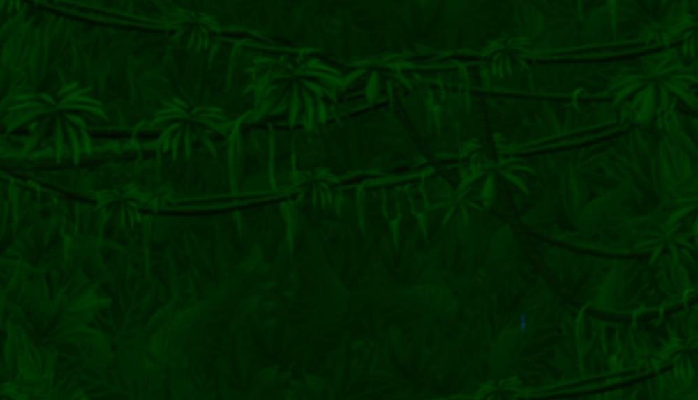 Game Background for Super Cats by Amatic