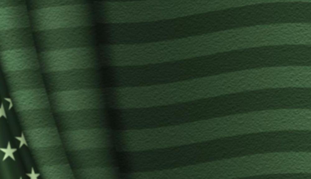 Game Background for The moneymania by Belatra