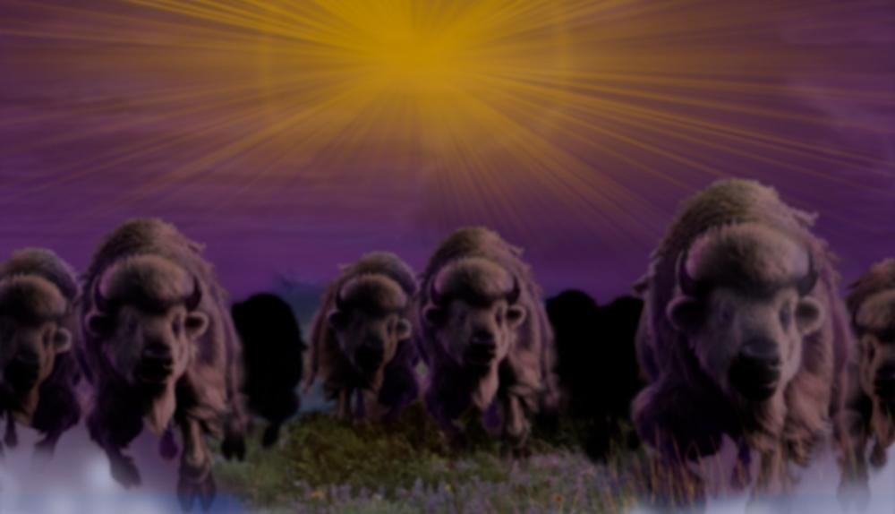 Game Background for Thundering Buffalo: Jackpot Dash by High5