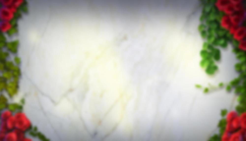 Game Background for Timeless Rose by High5