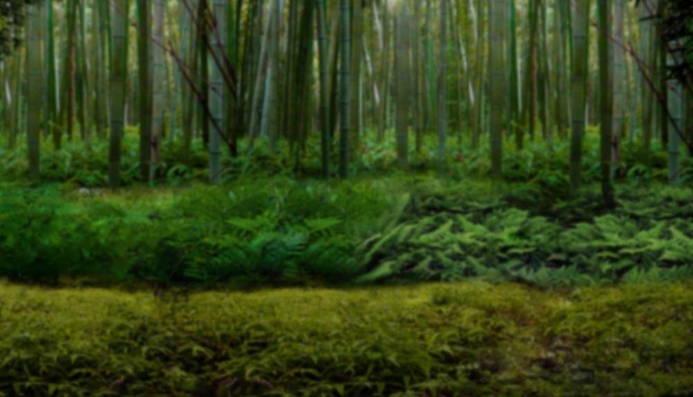 Game Background for Untamed - Giant Panda by Microgaming