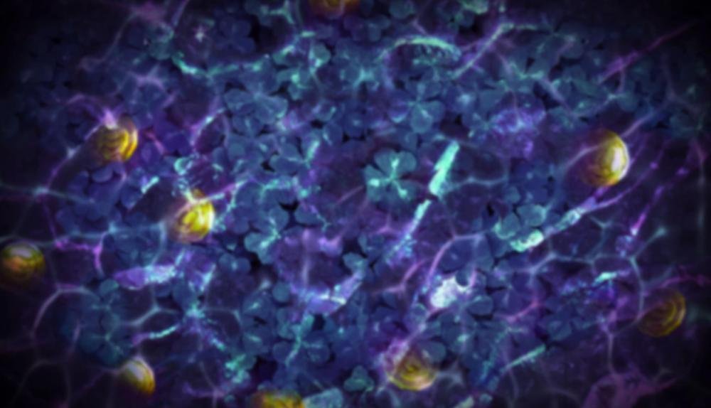 Game Background for Well of Wilds MegaWays by Redtiger