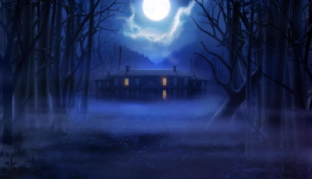 Game Background for Wild Blood by Playn'Go