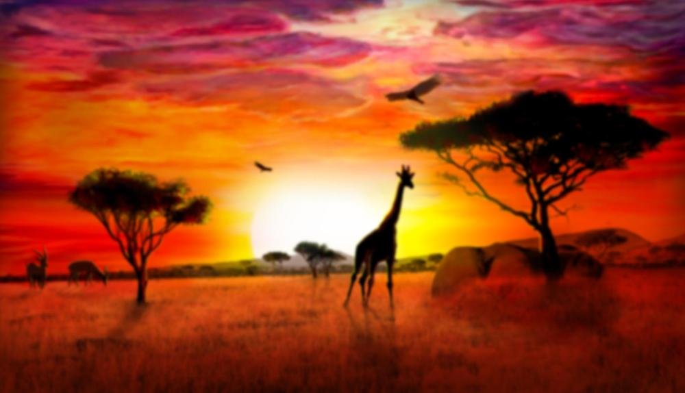 Game Background for Wild Pride by Booming games