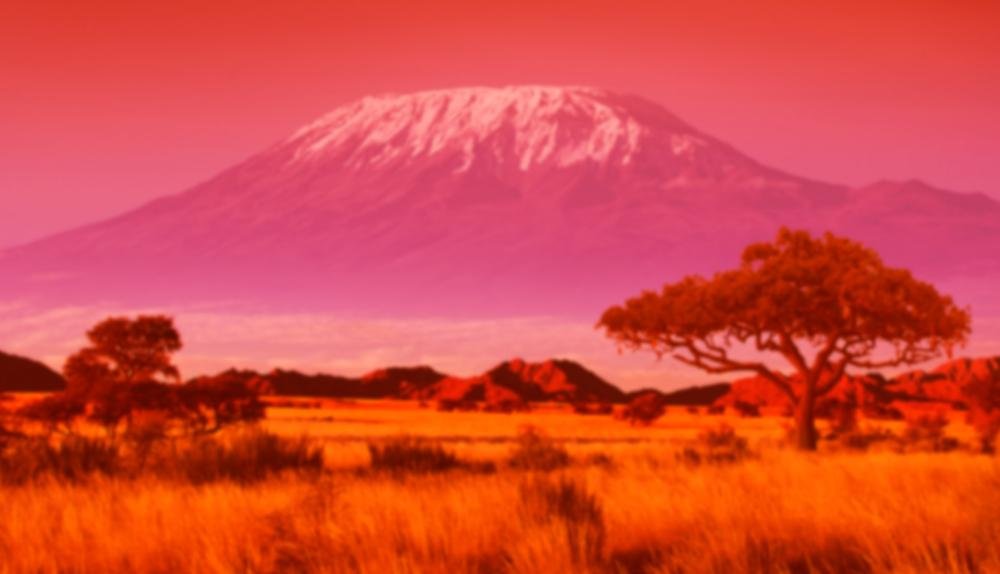 Game Background for Wild Tusks by High5