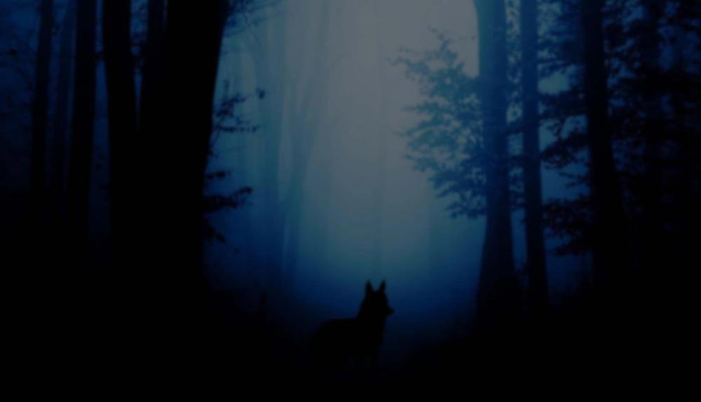 Game Background for Wolf Fang Winter Storm by Spinomenal