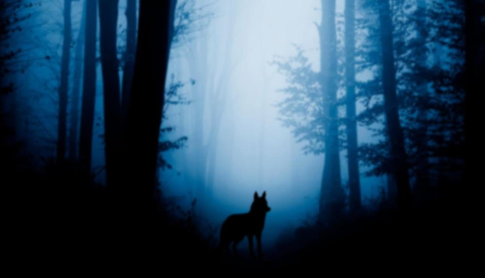 Game Background for Wolf Fang by Spinomenal