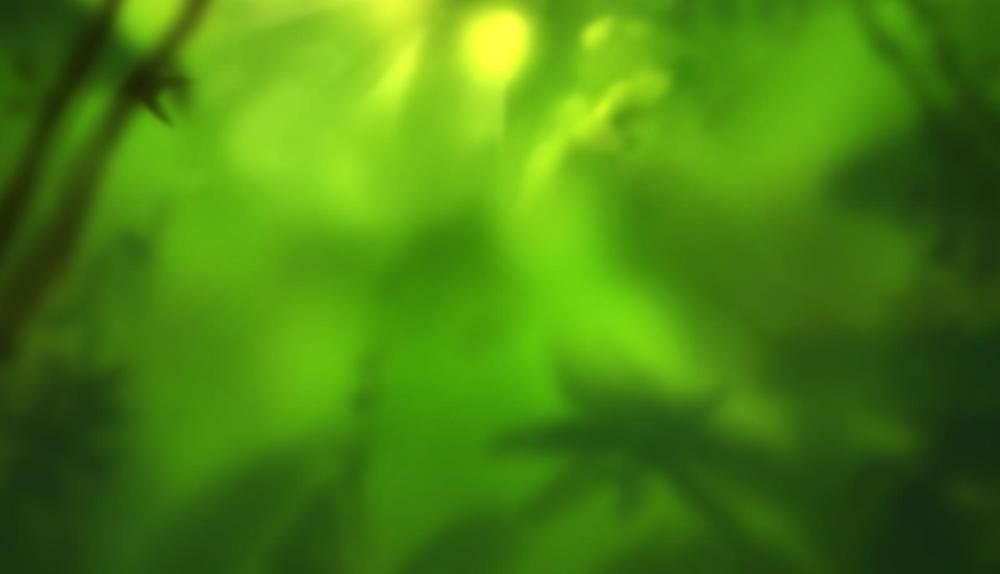 Game Background for Zoo by Spigo